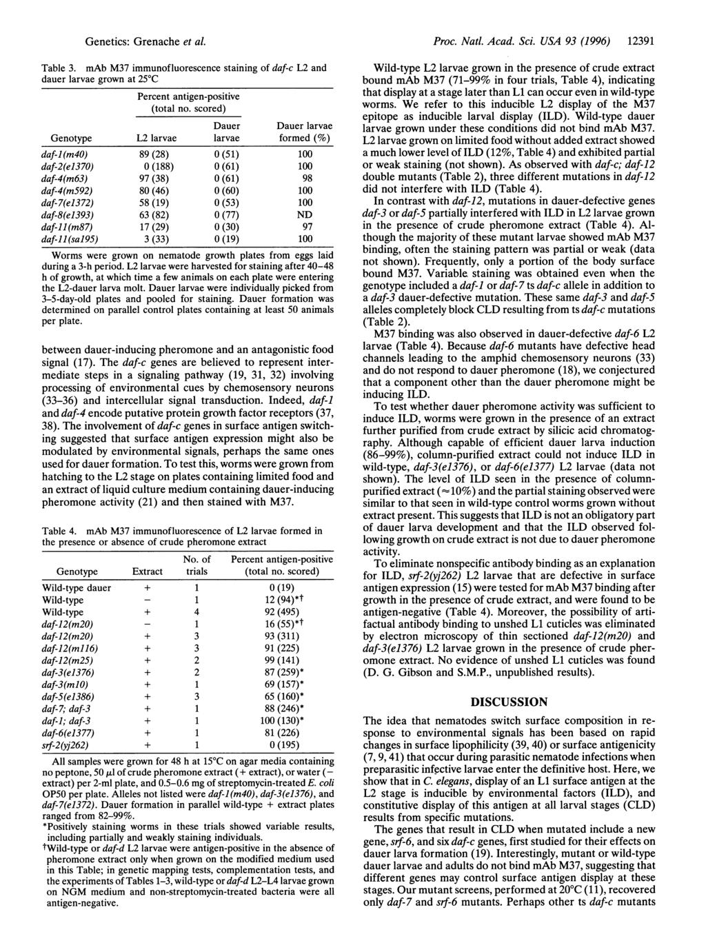 Genetics: Grenache et al. Table 3. mab M37 immunofluorescence staining of daf-c L2 and dauer larvae grown at 25 C Percent antigen-positive (total no.