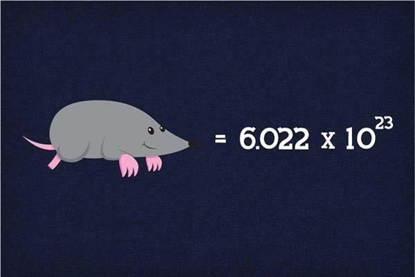 Chemists do the same thing, and they call it the mole.