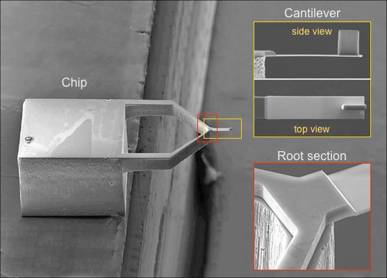 Cantilever design The cantilever chip is microstructured using lithography techniques. It is attached to the front face of a triangular-shaped structure.