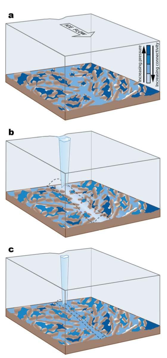 Proposed conceptual model Onset of the melt season Large fraction of the bed is composed of weakly-connected cavities at a higher water pressure than the surrounding distributed system.