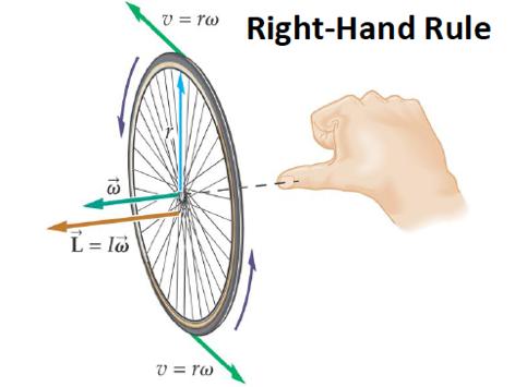 Angular momentum of a rigid body ~L = I~! The direction of angular momentum is given by L and ω are perpendicular to the plane of rotation.