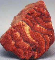 Igneous rock forms when magma, or molten rock, cools and hardens. Magma is called lava when it is exposed at Earth s surface.