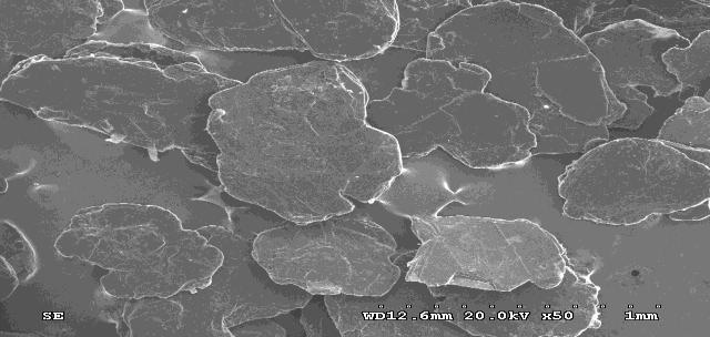 SEM of Exfoliated Graphite, has domain of multilayer structure with many diamond shaped pores When heating at 350 O C, an apparent volume change of the exfoliated graphite is