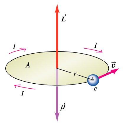 n principal quantum number: 1, 2, 3,.... l angular momentum quantum number: 0, 1, 2,...(n 1) m magnetic quantum number: l, l + 1,..., 0, 1,.