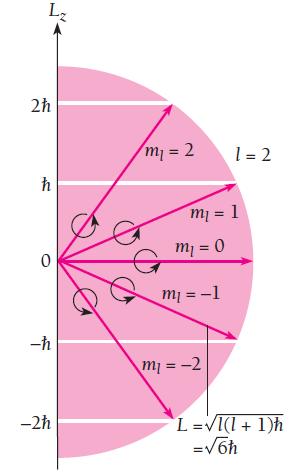 Fig. 6.4 Space quantization of orbit angular momentum.