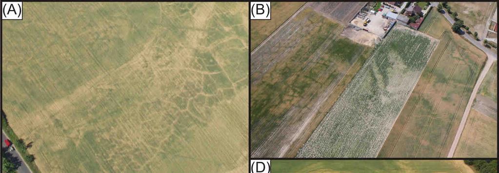Figure 1. Examples of possible past permafrost features on aerial photographs: networks of regular polygons (A, B, C) and irregular structures (D). Photographs: W. Rączkowski. 4.2.
