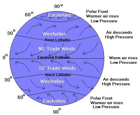 Major Circulation Patterns Generally speaking: Easterly winds near the equator; Westerly