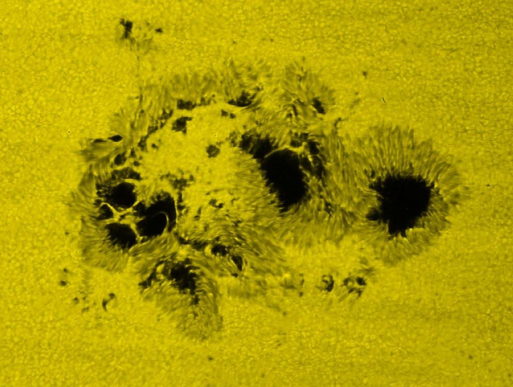 Detailed image of a complex sunspot group shows dark,