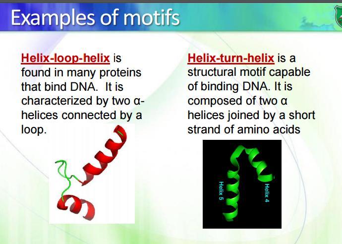 Two types 1) Motif( a module) : multiple secondary structures that exist consecutively in a poly peptide sequence. (no seperation between an alpha helix and the next alpha helix or beta sheet.