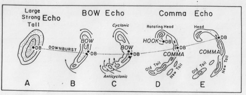 Figure 12: Fujita s conceptual model of the evolution of a bow echo similar appearance to squall lines, although they are much smaller, as they are rarely more 100km in length.
