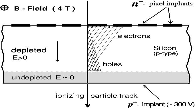 Detector principle : a charged particle interacts with (atomic) electrons in the detector