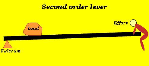 A lever that has the load between the fulcrum