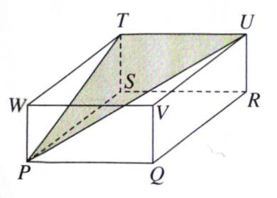 9 1. Diagram 4, MNP is a straight line. Rajah 4, MNP ialah garis lurus. P θ N 8 cm 10 cm L M Diagram 4 / Rajah 4 Find the value of cos θ. Cari nilai cos θ.