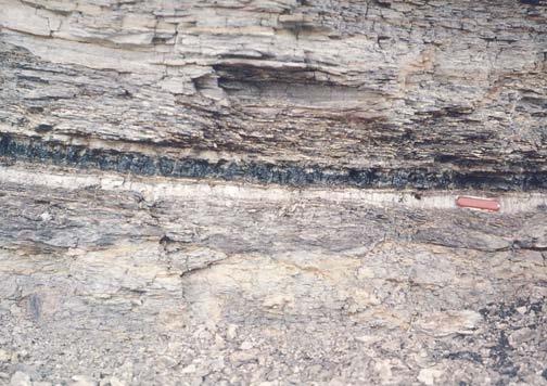 65 million years ago Boundary in the rock record separating the Cretaceous and Tertiary Periods Corresponds to one of the