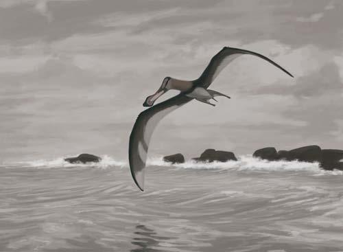 Pterosaurs were