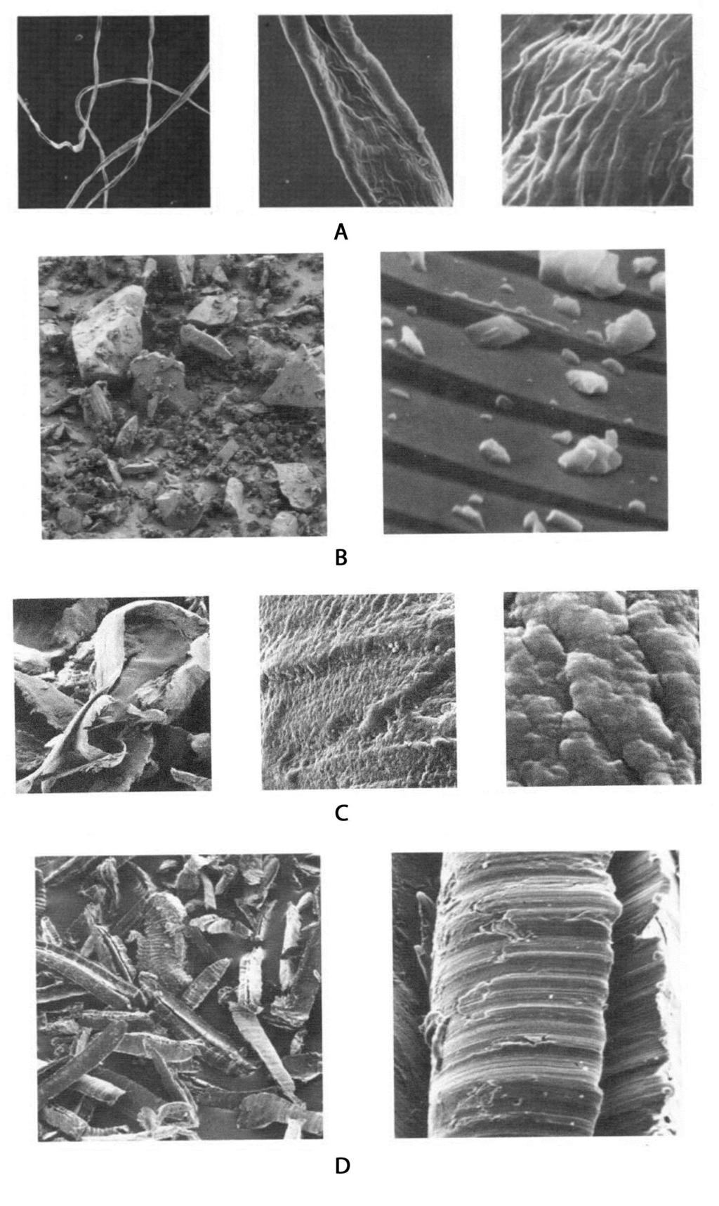 10 á1181ñ Scanning Electron Microscopy / General Information USP 40 Figure 8. Scanning electron micrographs of commonly found particles in pharmaceutical manufacturing areas: A. cotton fibers, B.