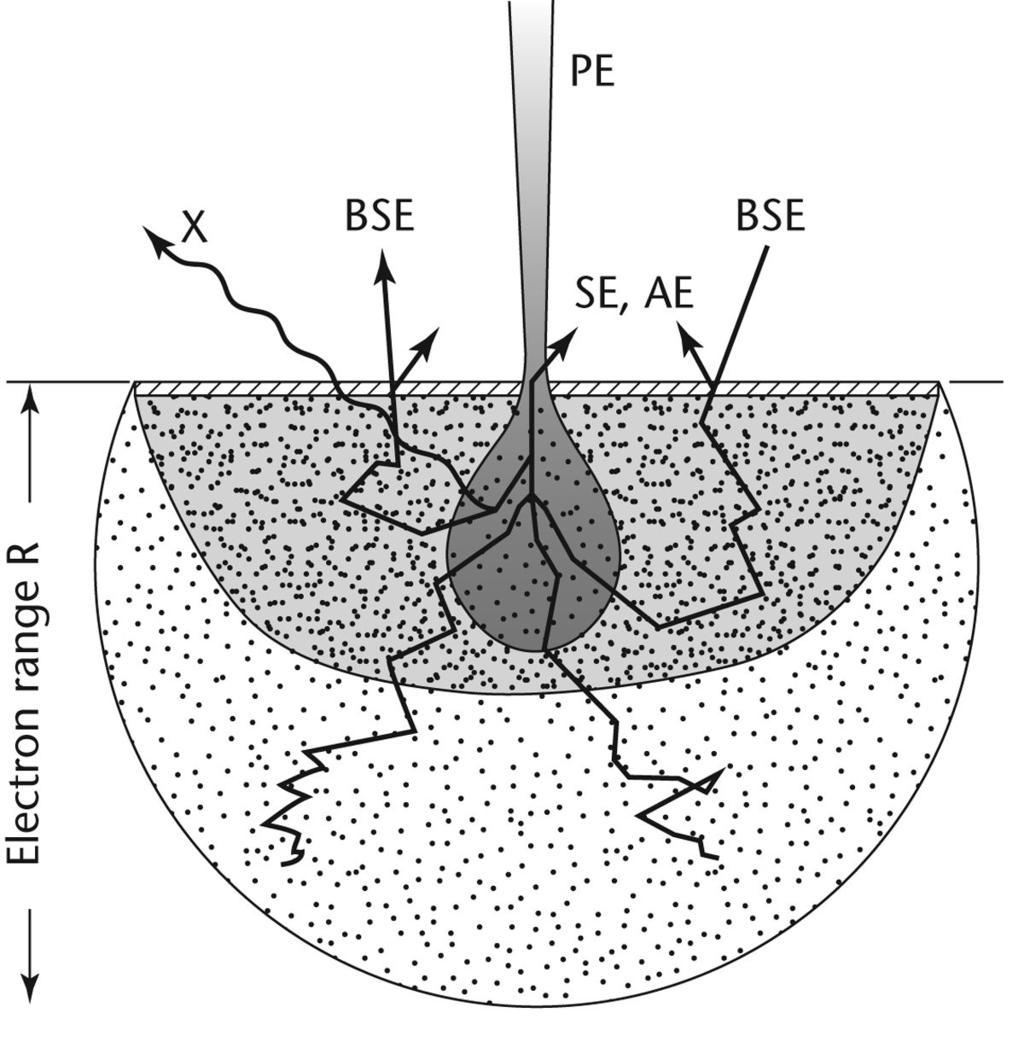 USP 40 General Information / á1181ñ Scanning Electron Microscopy 3 Figure 2. Interaction diagram.