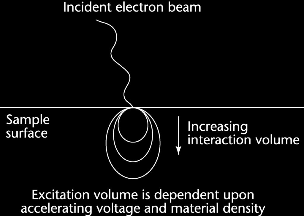 Because such low-energy electrons can penetrate only short distances through the specimen, SE originate from within 2 30 nm of the surface and generate highly resolved images.