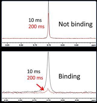 Three Basic 1 H NMR Experiments in FBS Water-LOGSY
