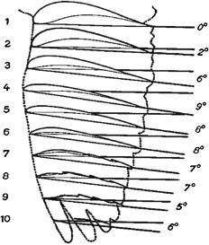 12 Trans. Japan Soc. Aero. Space Sci. Vol. 51, No. 171 Fig. 9. Fig. 8. Pigeon wing from Ref. 24). Variation of lift, thrust, and rate of work.
