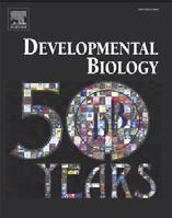 Developmental Biology 327 (2009) 419 432 Contents lists available at ScienceDirect Developmental Biology jour nal homepage: www. elsevier.