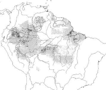 Forest: All Species Present Distribution Potential Distribution 21,000 Years Ago