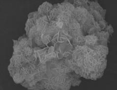 SEM images of FER zeolites synthesized at different alkalinities are & & & 10 20 30 40 50 2 /( Fig. 4. XRD patterns of samples synthesized with different Na2O/SiO2 ratios. 0.075 (S1); 0.