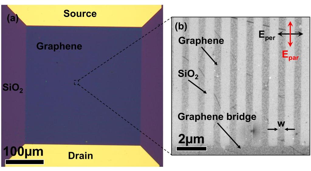 Fig. 1 (a) Optical and (b) SEM image of graphene nanoribbon array device.