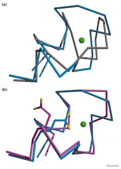Research Article Functional sites in predicted structures Wei, Huang and Altman 647 native structure.