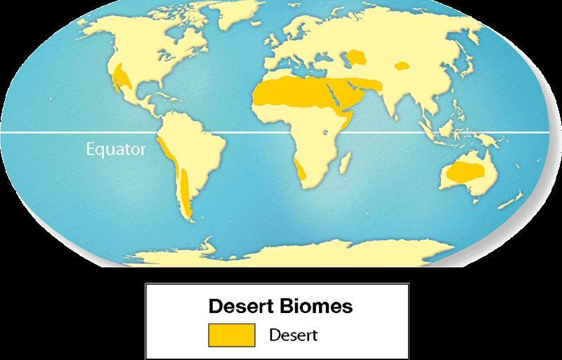 Desert Biomes Receive less than 25 cm of rain per year.
