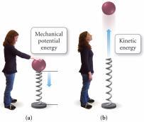 Kinetic and Potential Energy Potential energy increases when things that attract each other are separated or when things that repel each other are moved closer.