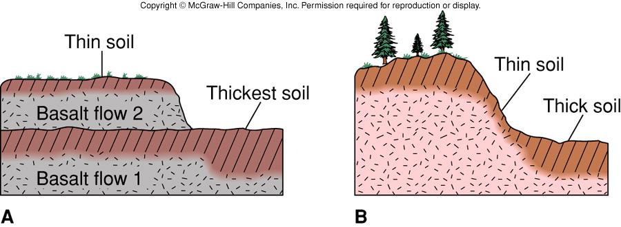 paleosols: paleo -- old; sols -- soils! formed in the past and preserved in rock record!