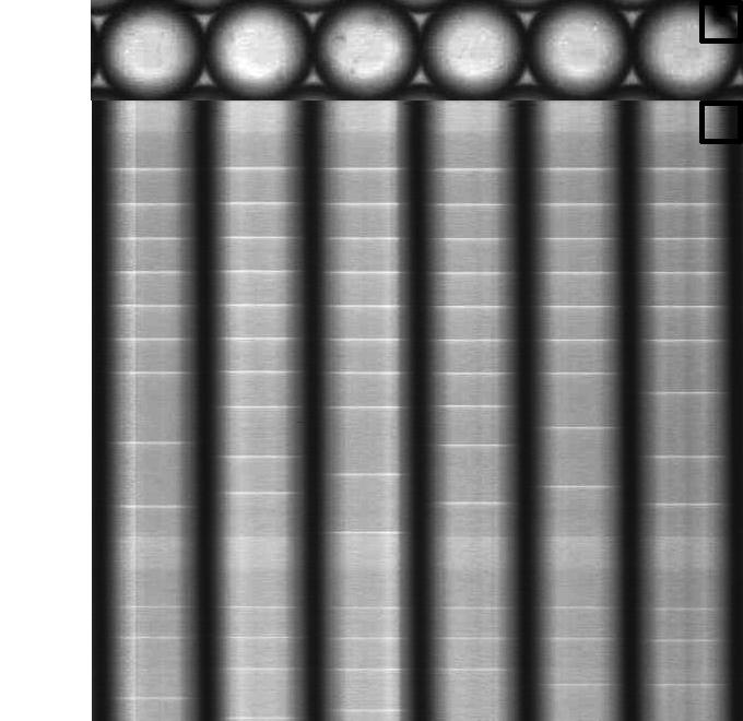 Chapter 4 Synchronization Engineering a Light b Time 4000s Light 150µm Figure 4.8: Space-time plot demonstrating the ability to set droplets in-phase using blue light.