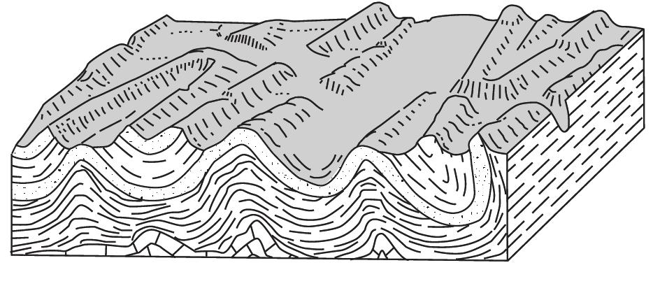 36. The block diagram below shows a portion of Earth's crust. Which stream drainage pattern is most likely present on this crustal surface? A) B) C) D) 37.