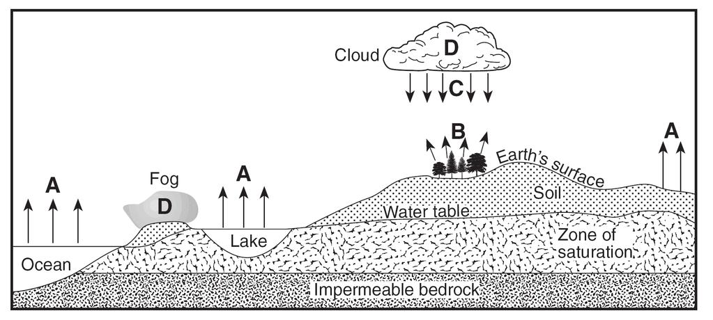 Base your answers to questions 18 and 19 on the cross section below, which represents part of Earth s water cycle. Letters A, B, C, and D represent processes that occur during the cycle.