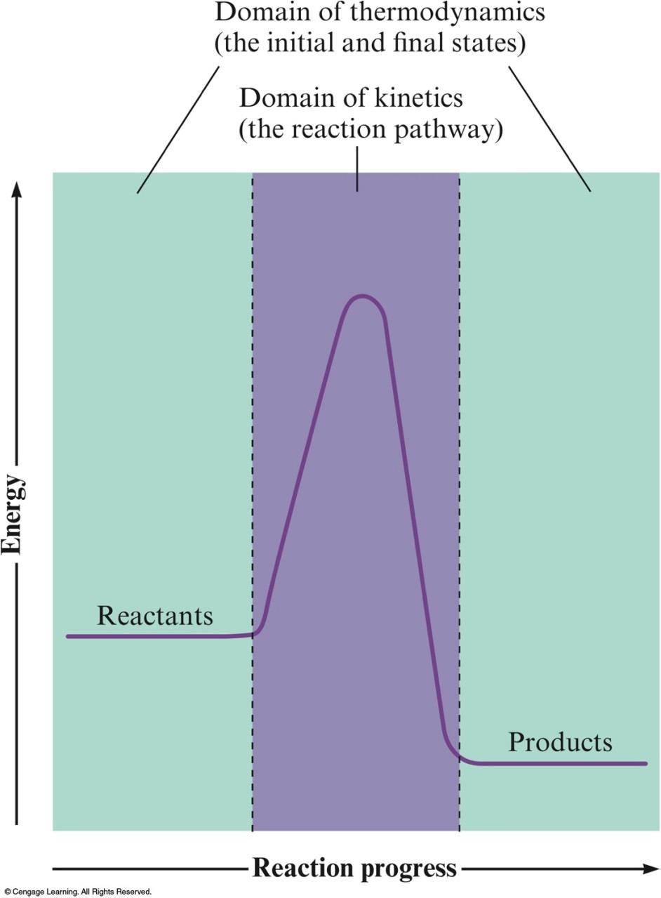 Thermodynamics vs. Kinetics Domain of Kinetics Rate of a reaction depends on the pathway from reactants to products.