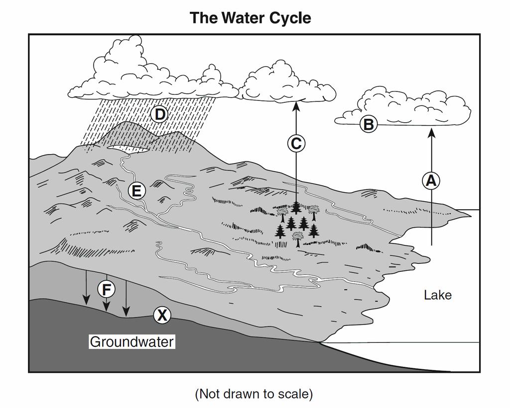 Base your answers to questions 22 through 25 on the diagram below, which shows a model of the water cycle. Letters A through F represent some processes of the water cycle.
