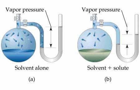 Figure 13.20 The vapor pressure over a solution formed by a volatile solvent and a nonvolatile solute (b) is lower than that of the solvent alone (a).