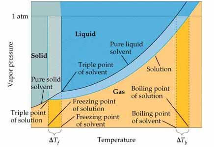 Figure 13.22 Phase diagrams for a pure solvent and for a solution of a nonvolatile solute.