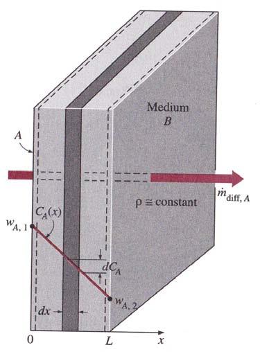Mass diffusion through a wall Ficks law (mass basis): J m dω = = ρdb (kg/m s) dx