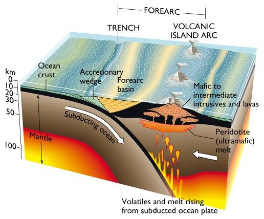 Parts of an Ocean Ocean Convergent Plate Boundary Subduction and Mountain Building The Sierra Nevada and the Coast Ranges One of the best examples of an active Andean-type orogenic belt Subduction of
