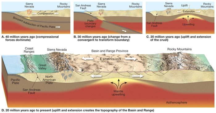 The Basin and Range Province Vertical Movements of the Crust Isostasy Less dense crust floats on top of the denser and deformable rocks of the mantle Concept of