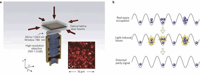 Experimental probes using quantum microscope Statistics of defects defect densi es and their higher moments (fluctuations, skewness,.