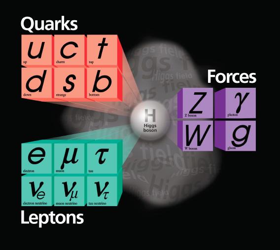 The Standard Model of Particle Physics γ (i)