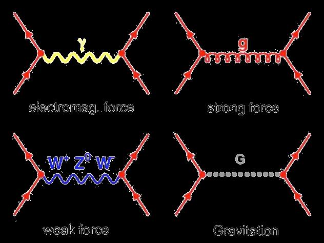 fundamental forces (described by quantum field