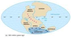 continents Evidence for Continental Drift Matching sequences of