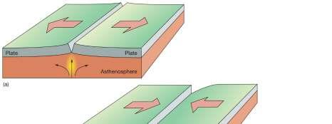 Plate Tectonics Theory Types of Plate