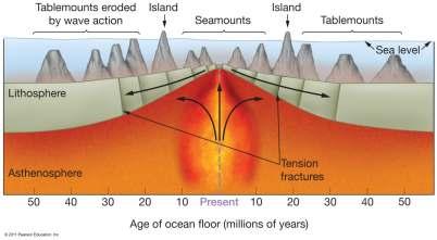 Island Emperor Seamount Nematath Plate Tectonics and Intraplate Features