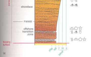 the framework of sequence stratigraphy.