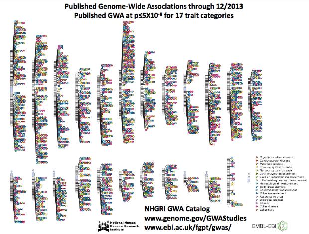 Genome-wide Association Studies (GWAS) Perform a population association study across the